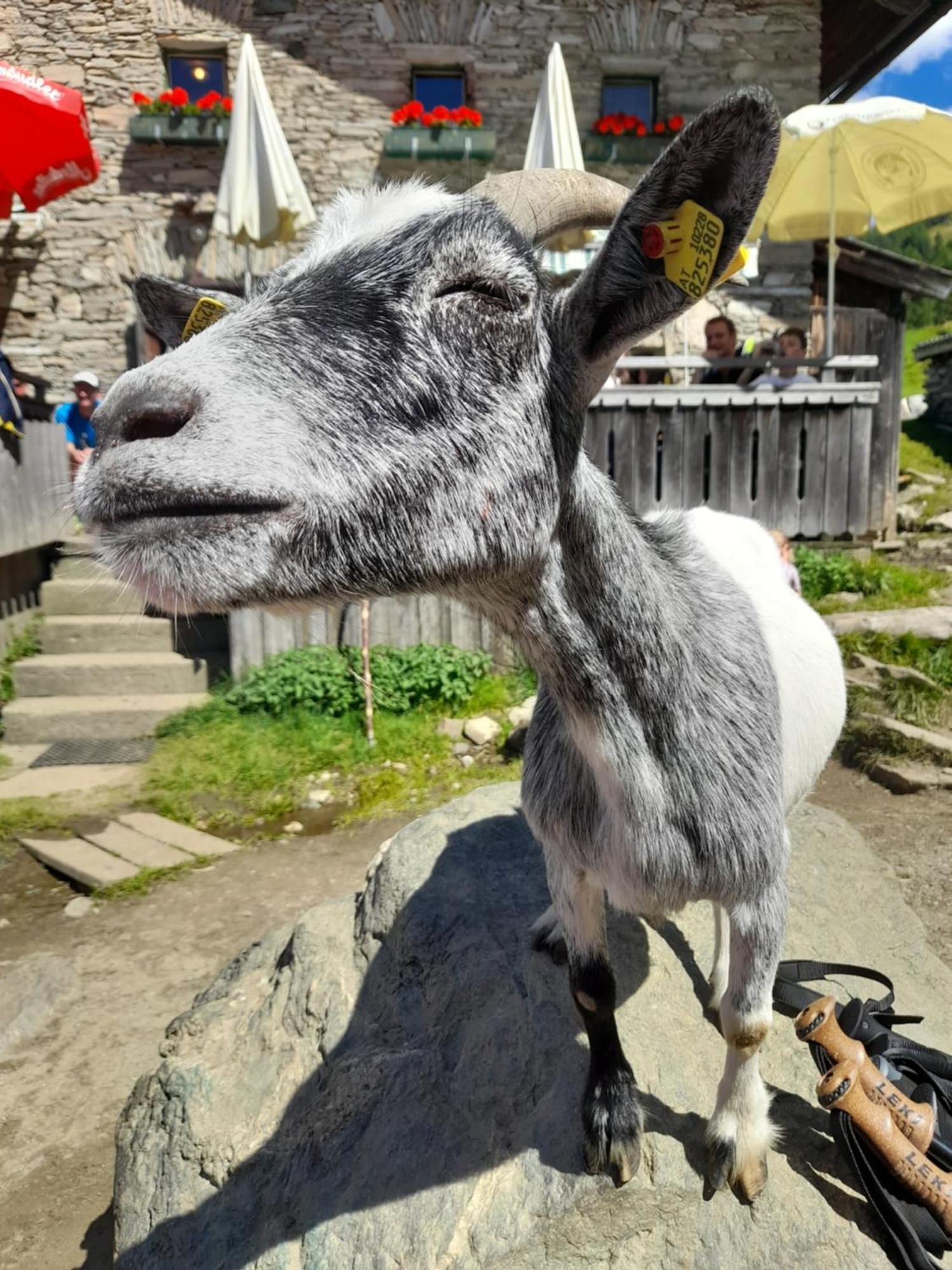 Ferienhaus Grofn Matrei in Osttirol Zewnętrze zdjęcie