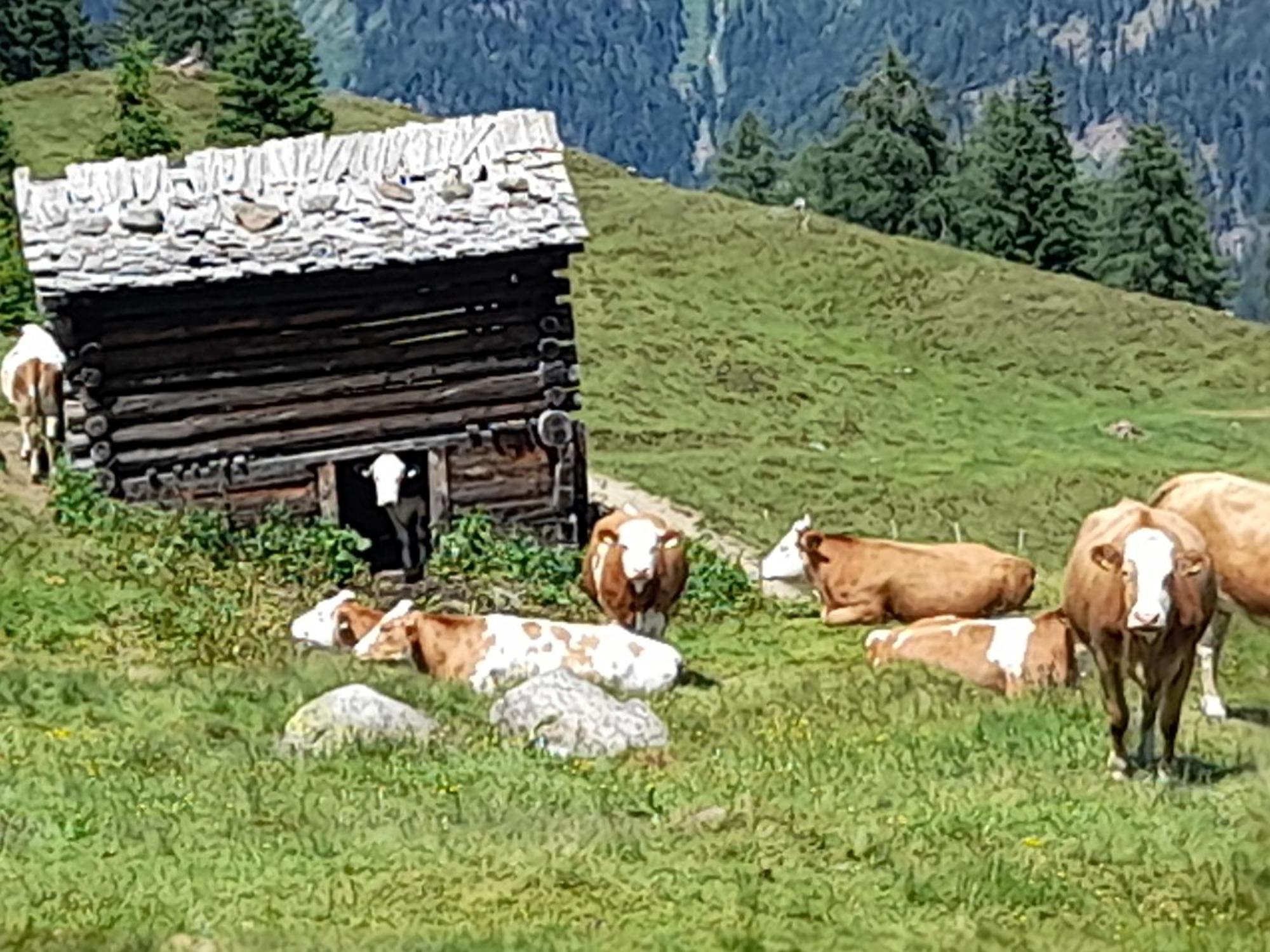 Ferienhaus Grofn Matrei in Osttirol Zewnętrze zdjęcie